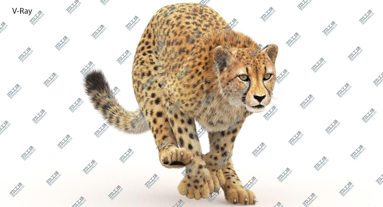 images/goods_img/202104021/3D Cheetah Animated, Fur/4.jpg